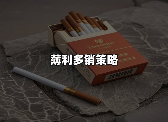 专业优势